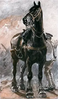 The Horse in War by Philip Dadd