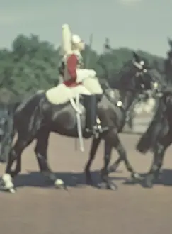 Horseguard - London