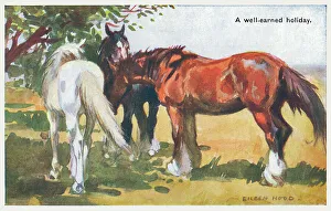 Shade Prints: Three Horses