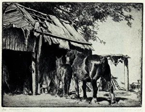 Stationed Prints: Horses and Barn