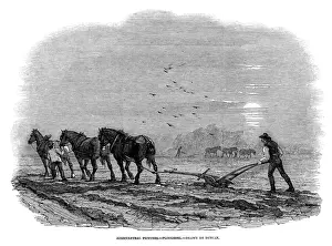 Controlled Prints: Three horses, controlled by a ploughboy, pull the plough which the ploughman guides