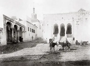 Horses and donkeys Tangier, Morocco, c. 1890 s