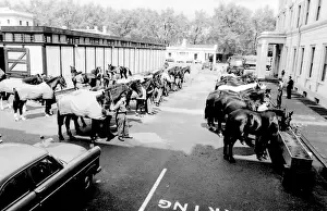 Horses drinking from troughs