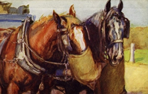 Images Dated 11th October 2011: Horses feeding