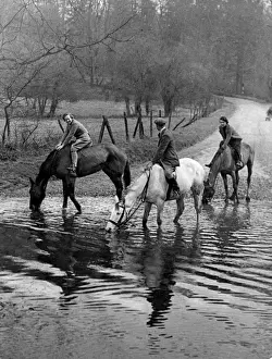 Horses at a Ford