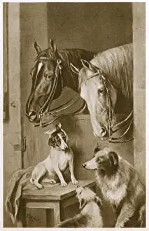 Injury Prints: Two Horses and a group of dogs