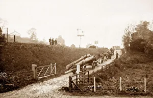 Hauling Prints: Horses hauling timber to Glaisdale Railway Station
