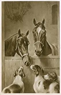 Two Horses and three hounds
