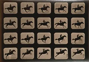 Horses. Leaping a 3 ft. 6 hurdle
