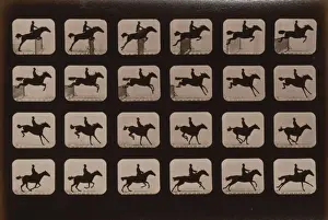 Horses. Leaping a 3 ft. 6 hurdle