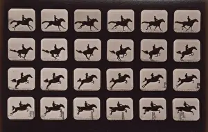 Horses. Leaping a 3 ft. 6 hurdle
