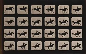 Horses. After leaping a 3 ft. 6 hurdle