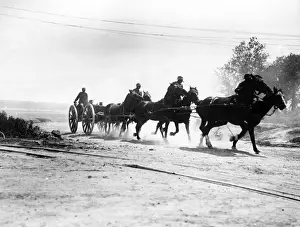 Somme Prints: Horses moving artillery, Becourt Wood, France, WW1