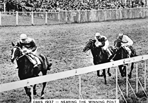 Images Dated 13th June 2017: Horses near the winning post, Epsom Oaks