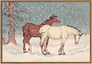 Images Dated 17th November 2015: Two horses in the snow