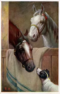 Pair Collection: Two Horses in the stable with a small terrier