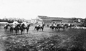 Images Dated 13th June 2017: Horses at starting line, Doncaster racecourse