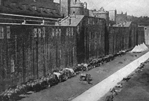 Territorial Prints: Horses at Tower of London 1914