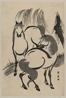 Horses under a willow tree
