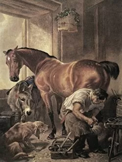 Blacksmith Collection: Horseshoer. Coloured engraving (19th c. )