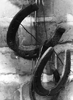Blacksmiths Prints: HORSESHOES