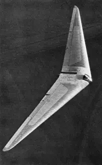 Horten Tailless Glider