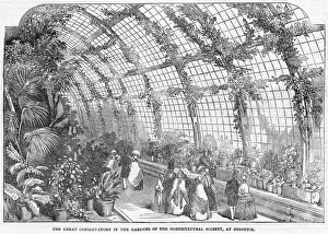 Gardening Prints: Horticultural Society conservatory, Chiswick, London