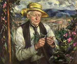 Flowering Gallery: Horticulturist Burbank Date: 1950