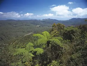 Horton Prints: Horton Plains National Park, Sri Lanka