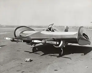 Prototypes Prints: Horton Wingless
