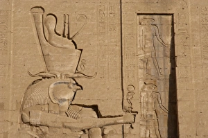 Pylon Gallery: Horus. Edfu. Egypt