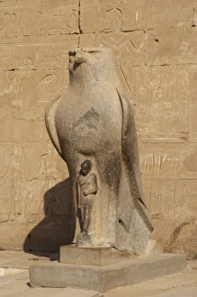 Images Dated 30th November 2003: Horus. Egypt