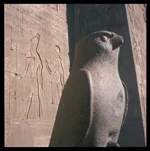 Hathor Prints: Horus the Falcon God