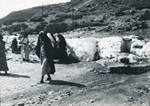 Hot springs at Galilee (ground view)