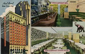 Skyscrapers Prints: Hotel Bristol and Pink Elephant rooms in New York City, USA