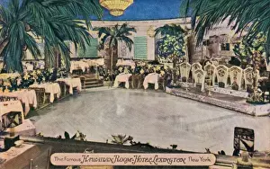 Lexington Prints: Hotel Lexington, New York