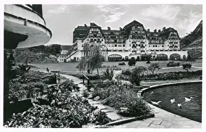Ducks Prints: Hotel Quitandinha, Petropolis, Brazil