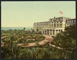 Florida Prints: Hotel Royal Palm, Miami, Florida