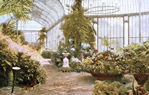 Hothouse interior, Botanic Gardens, Regents Park, London