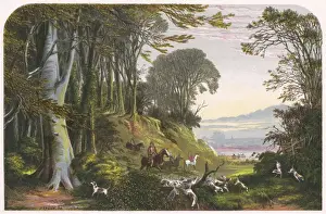 Out with the Hounds