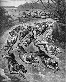 Fox Hunting Collection: Hounds in Full Cry