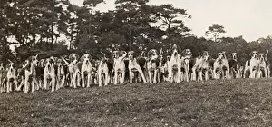 Hound Prints: Hounds of the Cheshire Hunt
