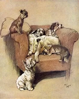 Arm Chair Collection: A House Full by Cecil Aldin