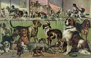 Kennel Prints: House, kennel and field