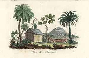 Malagasy Collection: House of the Malagasy people of Madagascar