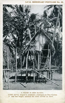 Stilt Collection: A House in New Guinea