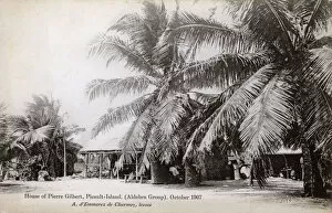 Palms Collection: House of Pierre Gilbert - Picault Island, Aldabra Group