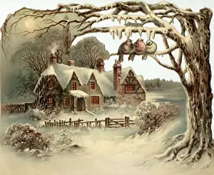 House in Snow