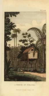 House on stilts of the Minangkabau people