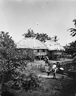 Nicotiana Gallery: House on tobacco plantation, Philippines